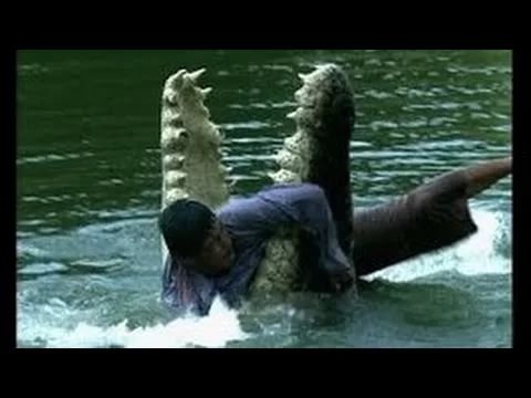 Самые страшные нападения животных на людей