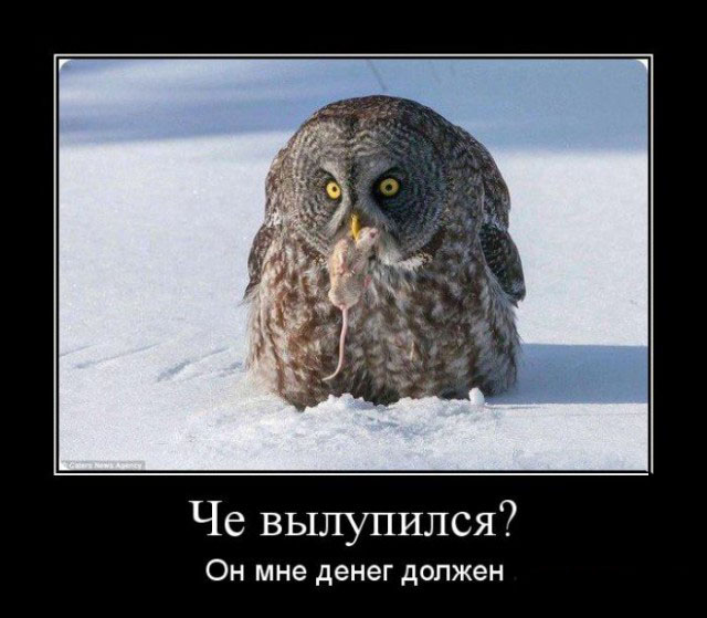 Следопыты есть? Кто прошёл ?