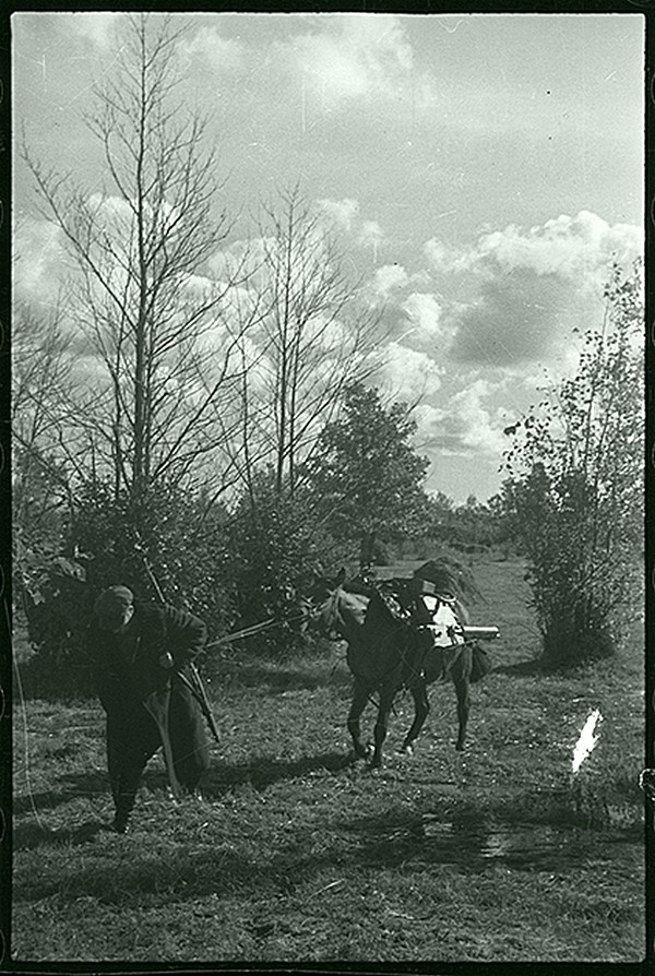 Фотоархив Великой Отечественной войны: найденные снимки фотокорреспондента С. И. Лоскутова