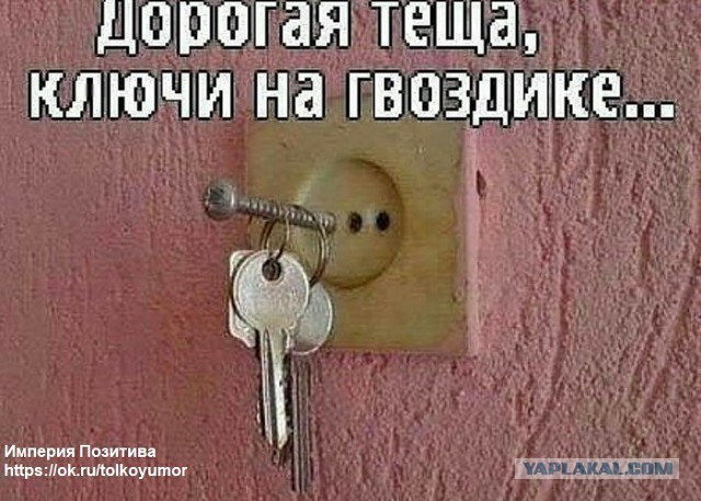 После смерти тёща снится почти что каждую ночь с угрозами в свитере крюгера