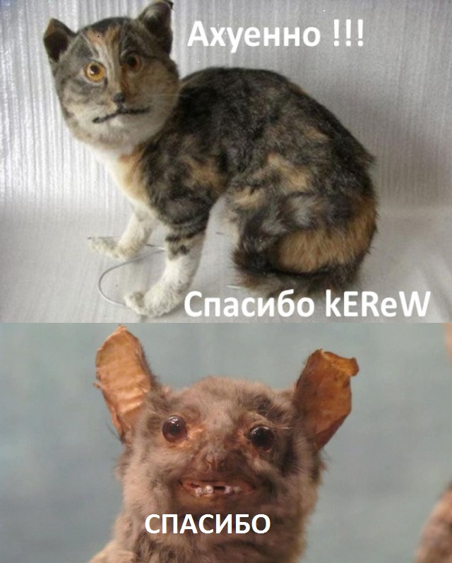 Немного картинок на сегодня