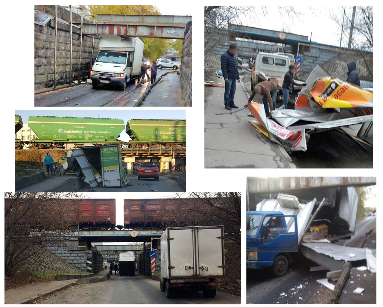 машины глупости