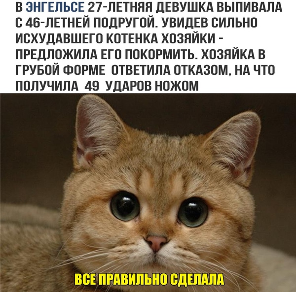 Немного картинок в это воскресенье