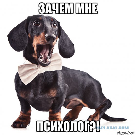 Старые жены. Что с ними делать?