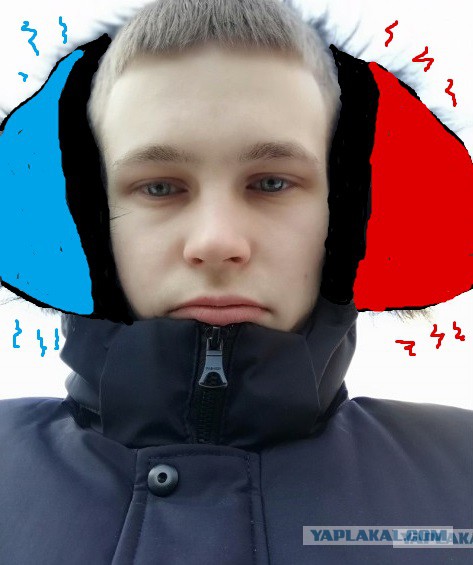 Что у человека с головой?