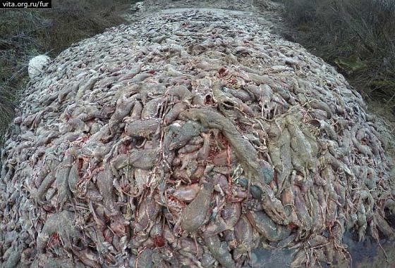 Охота на крыс. Как скучно я живу