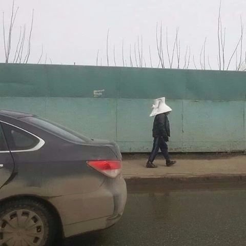 Чудики из социальных сетей