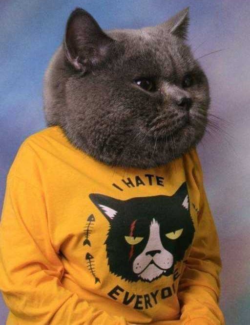 Хотите избежать солевых отложений на голове - жарьте курочку регулярно.