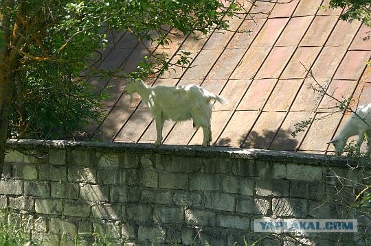 Похвастаемся?