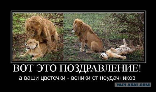 С 8 марта вас, женщины и девушки =)