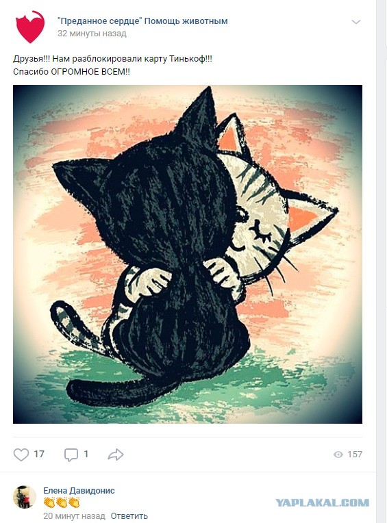 Помогите вернуть кота! Приют "Преданное сердце" украл кота и не отдает!-2