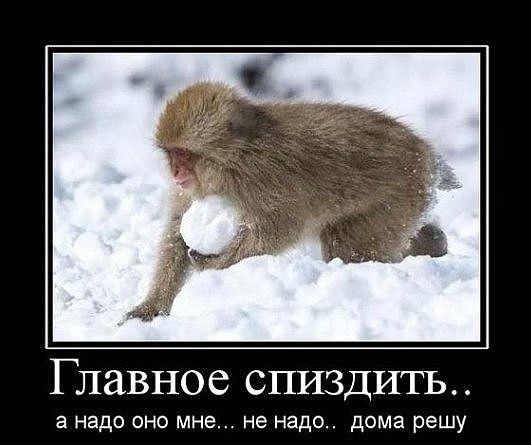 Бредзона картинок 20.11.2019