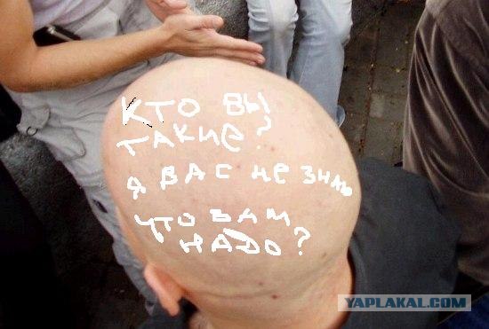 Фотожаба: лысая бошка