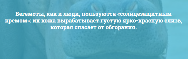 А вдруг вы не знали