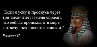 Бредзона 03.11.2020
