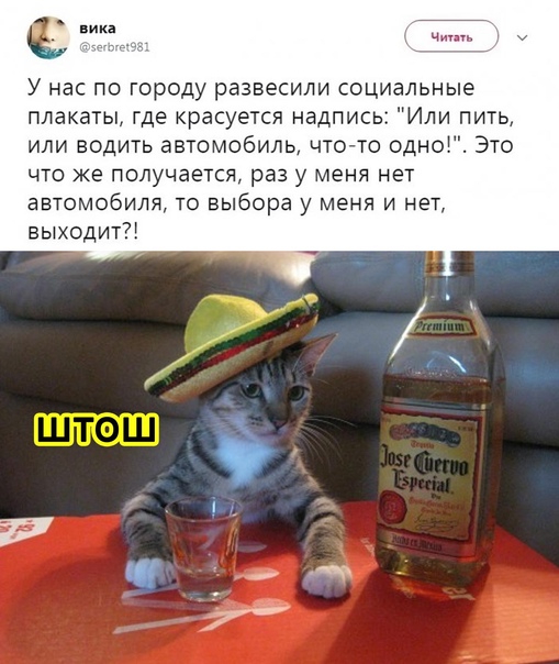 Алкопост 19.12.20