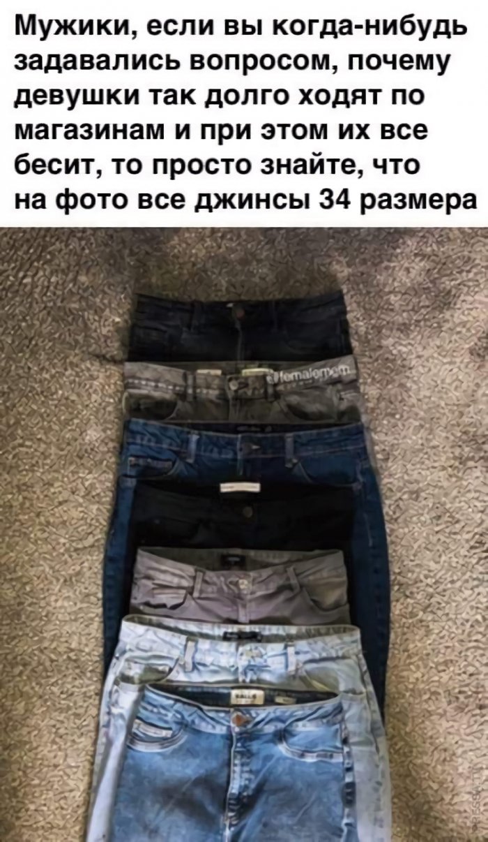 15094980.jpg