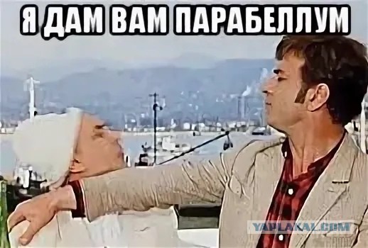 В Чехии право на защиту с помощью оружия теперь будет частью конституции