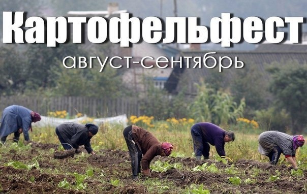 Бредзона 09.08.21