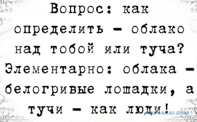 Картинки и мемы для настроения 19.08.2021
