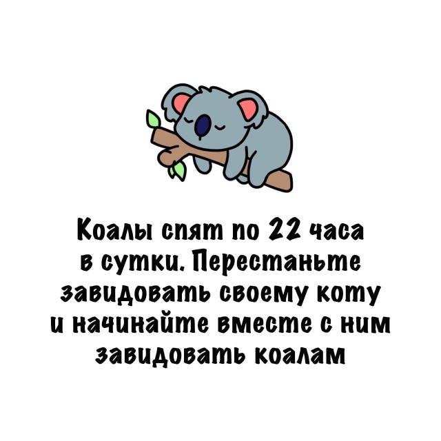 Картинки на субботу