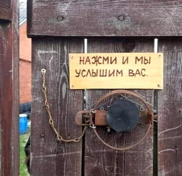 Всяческие картинки 22.11.2021