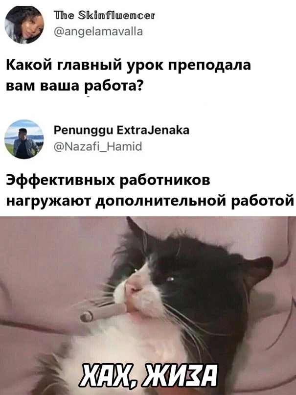 Картинки и мемы для настроения - 22