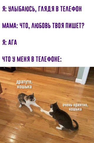 Картинки и мемы для настроения - 29