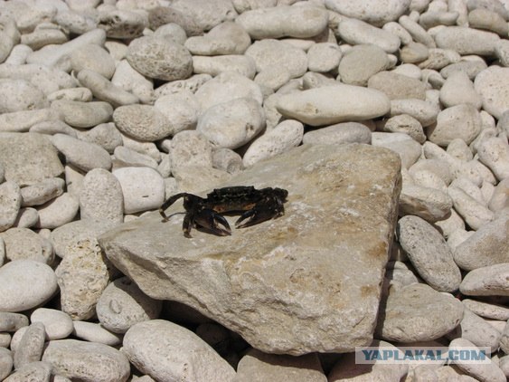 Мыс Тарханкут - самая западная точка Крыма.