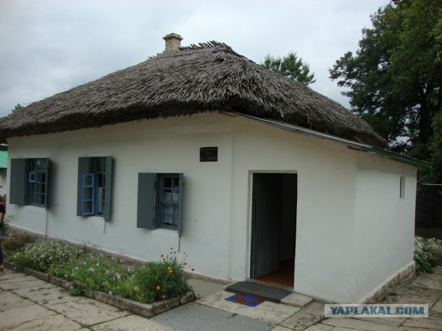 Кавказ-2012