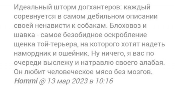 Регионам разрешили усыплять бездомных собак