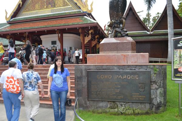 Хочу дачу на канарах!