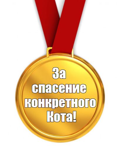 Спасти рядового Барсика