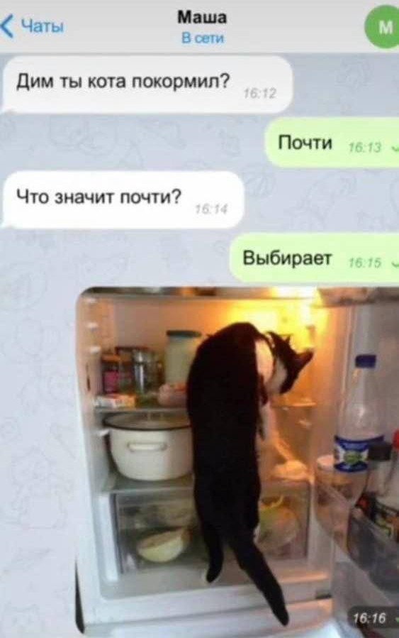 Завалялось тут случайно немного забавных картинок