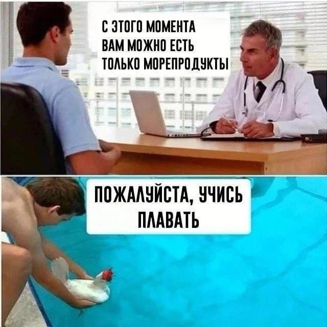 Весёлый полтишок 01.11.24