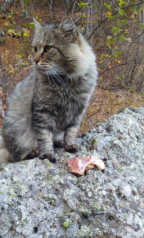 Посмотрите, кого я нашёл на улице