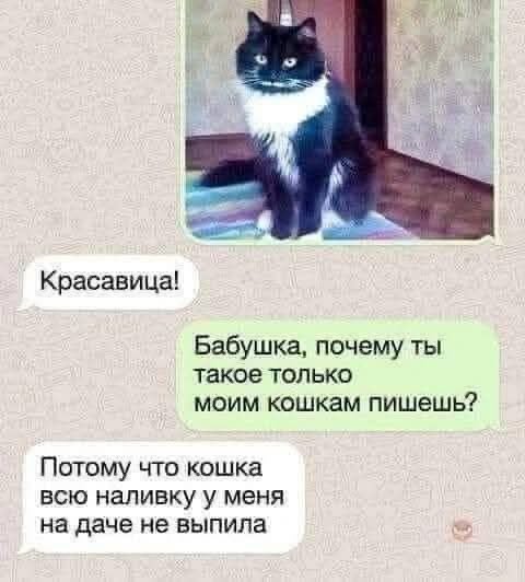 Немного забавных картинок от 20.05.2025