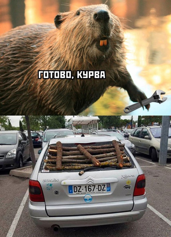 Жипеги и не совсем