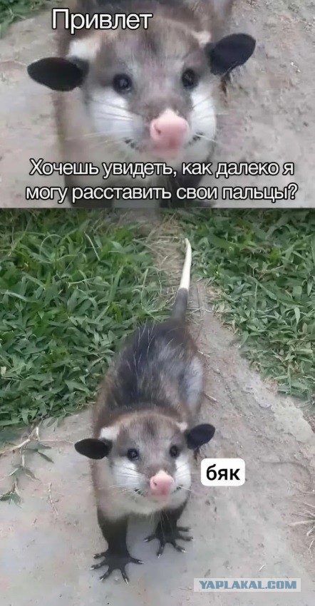 Механику кирдык⁠⁠