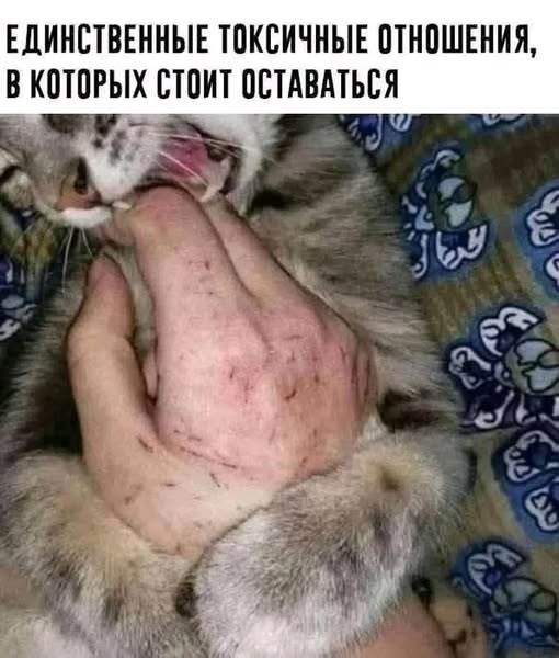 Пятничные бояны