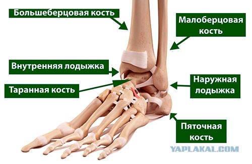 Но есть и хорошие новости. Таджика напавшего в метро на журналистку пережившую теракт в Будёновске приговорили к 2,5 годам колон