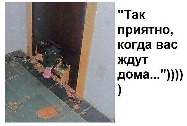 Картинки для деградации 47 (разной степени свежести)