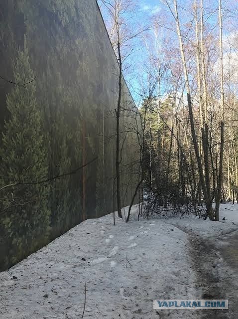 Кажется, техномиллиардеры готовятся к концу света. Стоит ли нам всем беспокоиться?