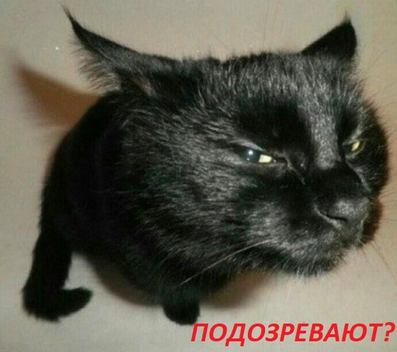 В Бурятии гендиректора «Аэрокома» подозревают в хищении бюджетных средств