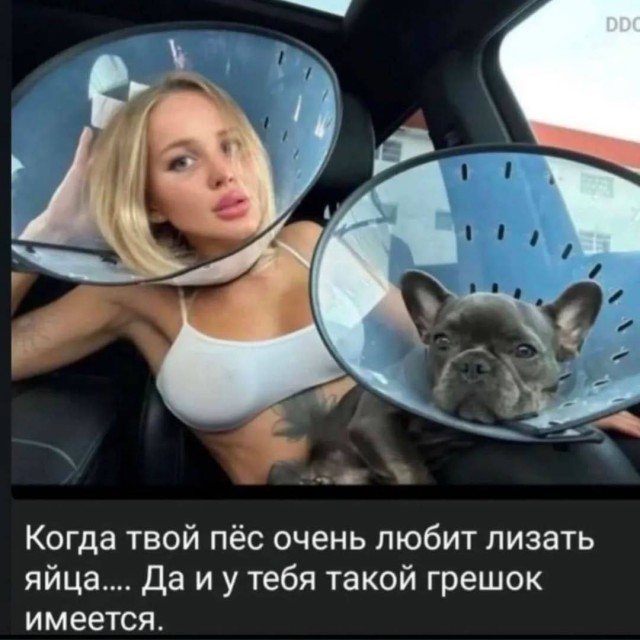 Картинки для деградации 100 (разной степени свежести)