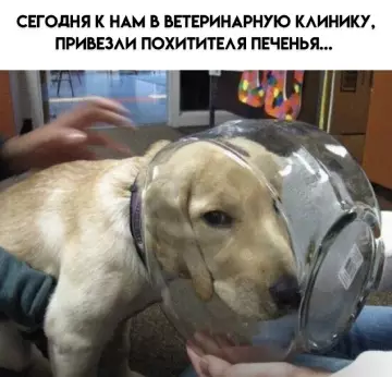 Картиночки, баянчики 11 марта