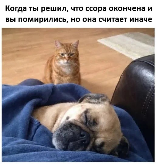 Понедельника картинки