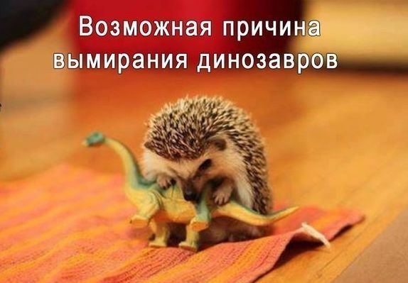 Почему вмерли динозавры