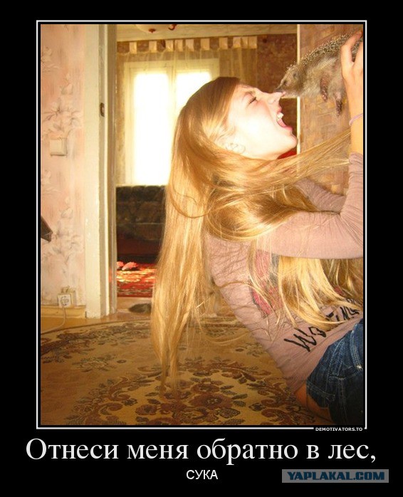 Первый Йожик 2014