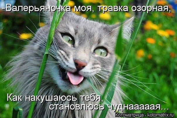 Позитивные картинки и комментарии.